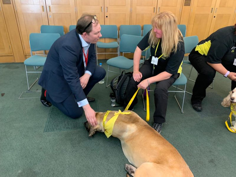 Gareth meeting a therapy dog